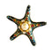 Starfish-shaped brooch with pearl center and colorful beads on a white background