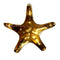 Gold starfish-shaped brooch back on a white background
