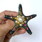 Hand holding a star-shaped brooch with colorful embellishments on a white background