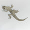 Decorative lizard brooch large made of crystals on a white background